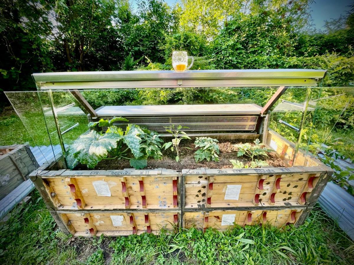 Haraburdi Recyclart Hotel Adlerkosteletz Exterior foto